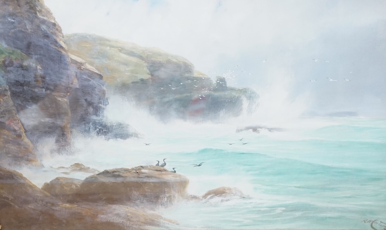 Richard Harry Carter (1839-1911), oil, Seascape with rocky cliffs, signed, 39 x 59cm. Condition - fair